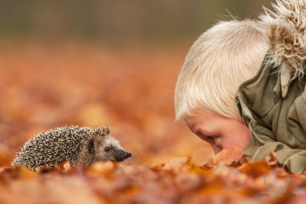 Мальчик с ежиком