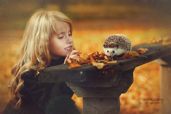 Ежик девочка