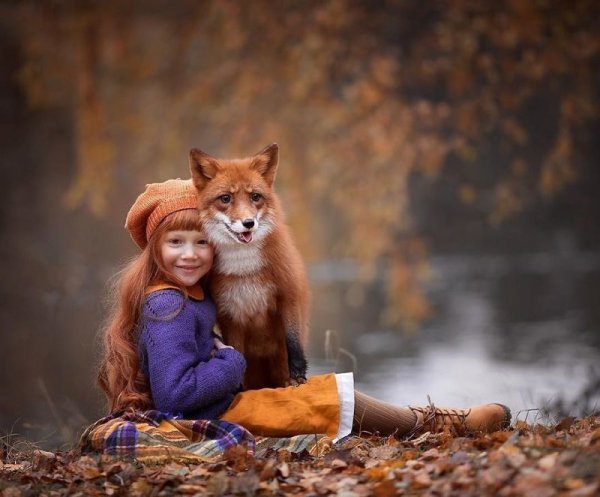 Девушка и лиса