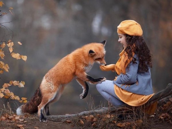 Девочка и Лисенок
