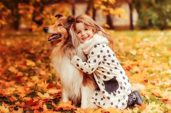 Осенняя фотосессия с ребенком и собакой