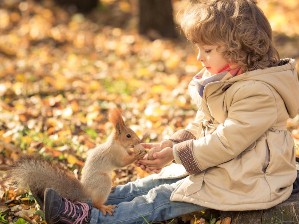 Дети с животными осень