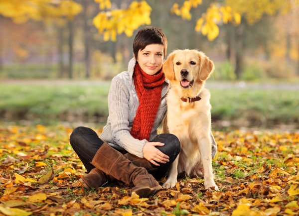 Фотосессия с собакой осенью