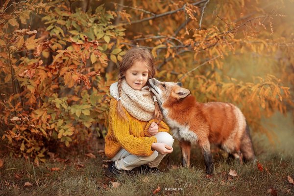 Девочка и Лисенок