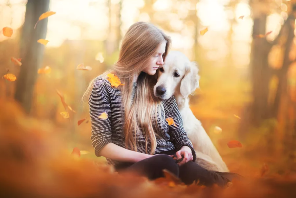 Фотосессия с собакой осенью