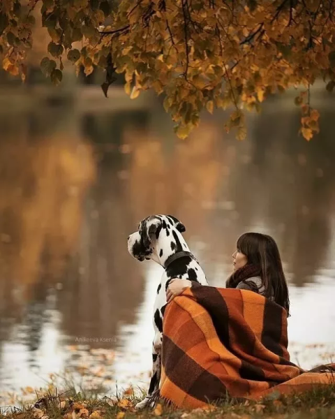Осенняя фотосессия с собакой
