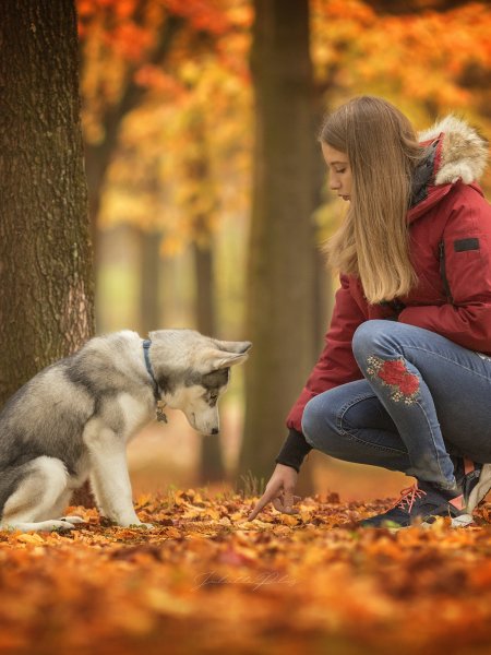 Осенняя фотосессия с собакой