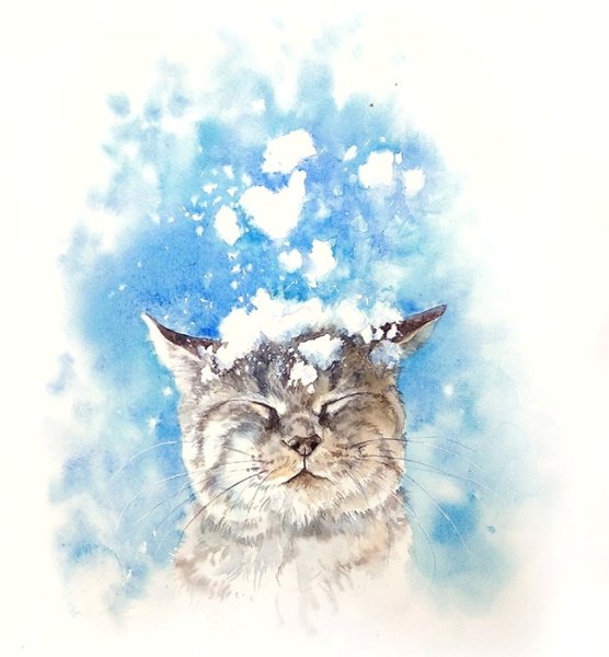 Акварель зима кот