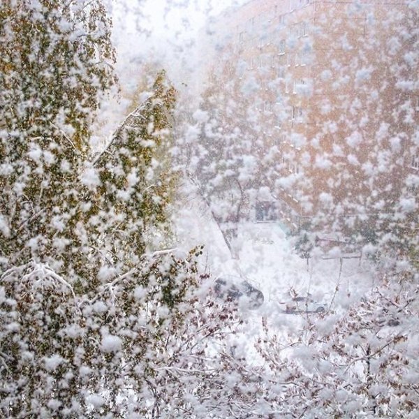 Хлопья снега