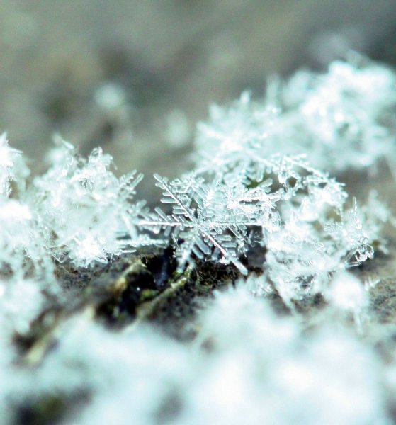 Снежные хлопья