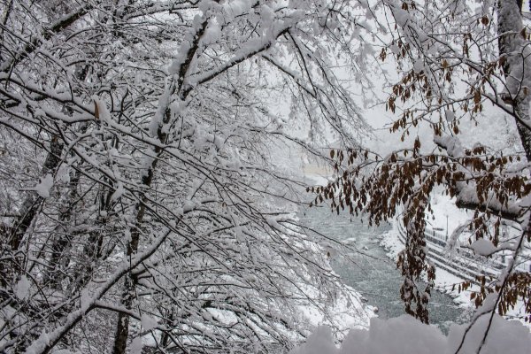 Зима хлопья