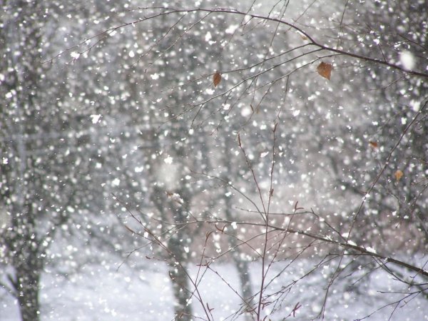 Крупный снегопад