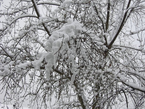 Снег снежные хлопья