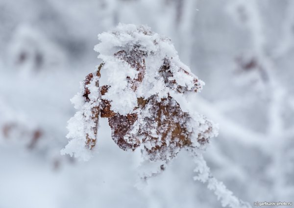 Снег крупинками