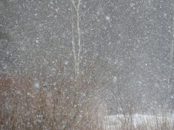 Снегопад хлопьями