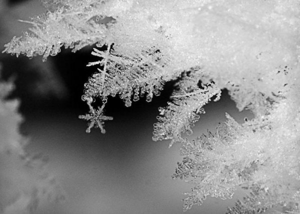 Снежинки Эстетика