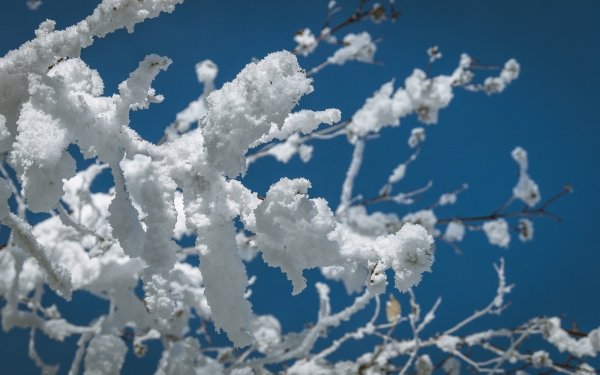 Крупные хлопья снега