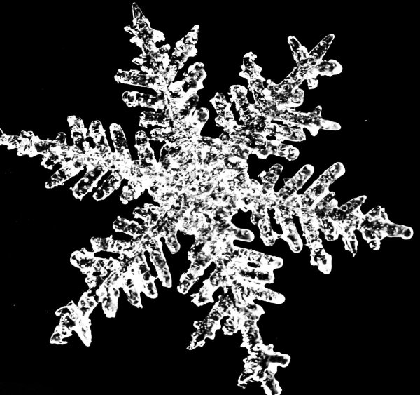 Снежные хлопья