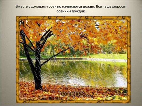 Осень моросящий дождь