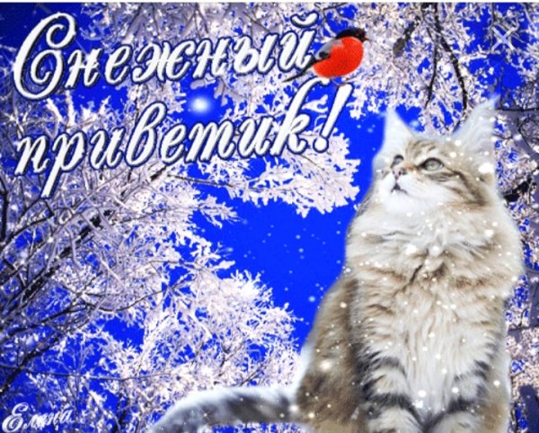 Доброго снежного дня