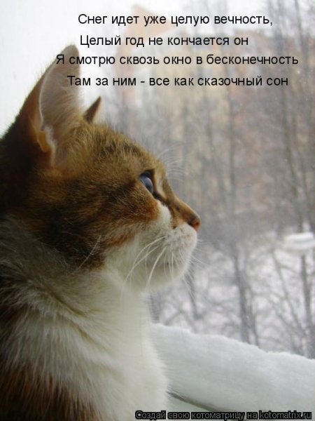 Опять пришла зима