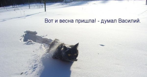 Приколы про зиму и весну