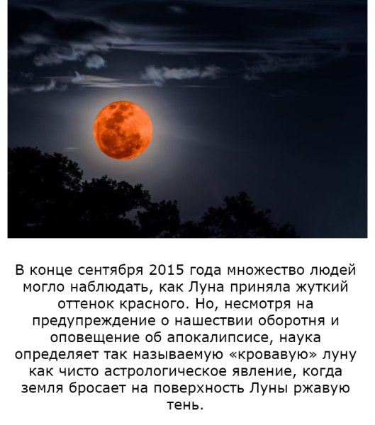 Интересные факты о Луне