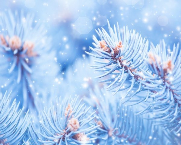 Обои на телефон зима