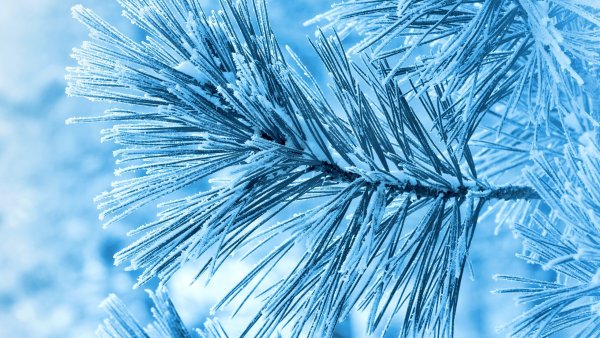 Зимние обои на рабочий стол