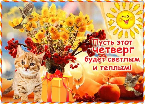 Доброе утро четверга