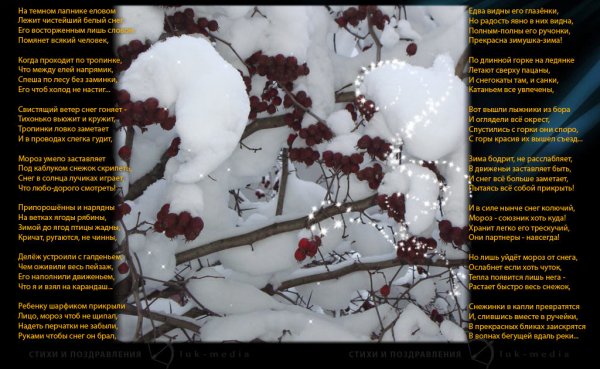 Стихи о зиме длинные и красивые