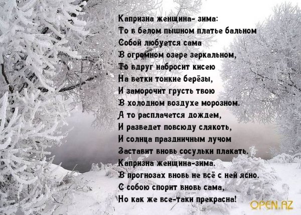 Женщина и зима стихи