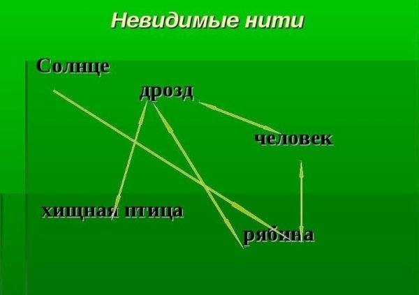 Невидимые нити в осеннем лесу 2 класс окружающий мир