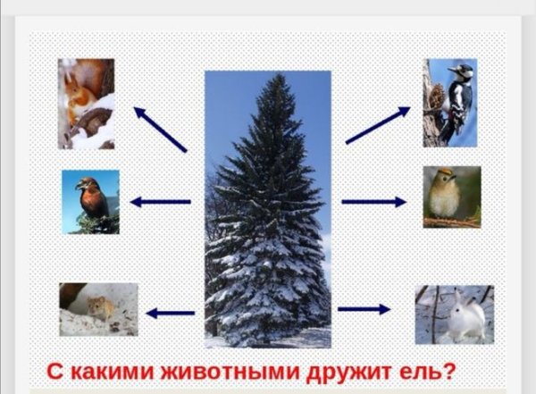 Невидимые ниьив зимнем лису