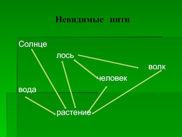 Невидимые нити в осеннем лесу