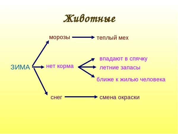 Невидимые ниьив зимнем лису