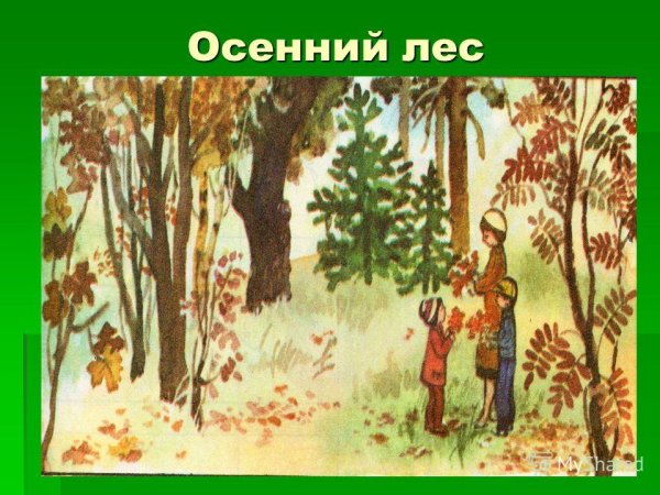 Невидимые нити в осеннем лесу