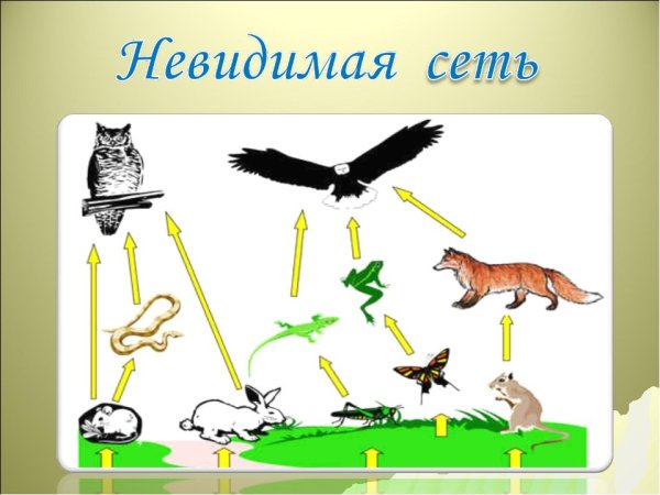 Невидимые нити окружающий мир