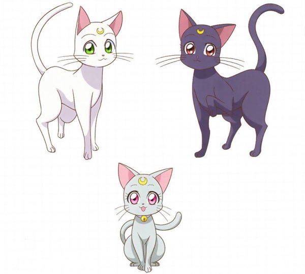 Кот Артемис из сейлормун