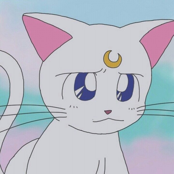 Артемис сейлормун кошка