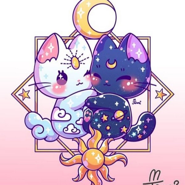 Милые космические котики