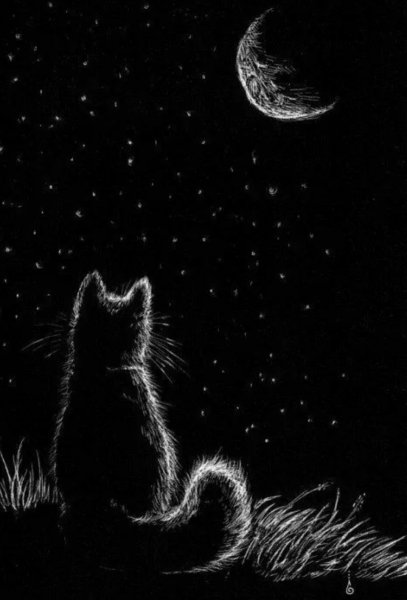 Рисунки на черном фоне