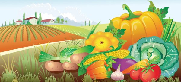 Огород с овощами для детей