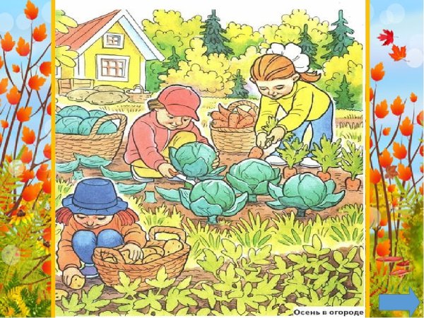 Уборка урожая для детей