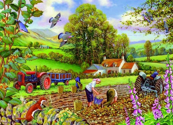 Поле уборка урожая картина