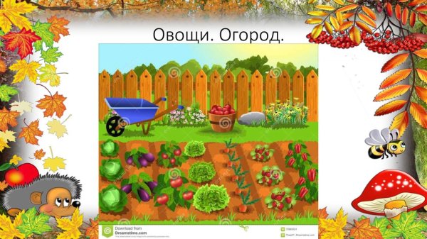 Слайды осенний огородные