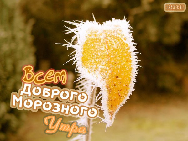 Доброе морозное утро ноября