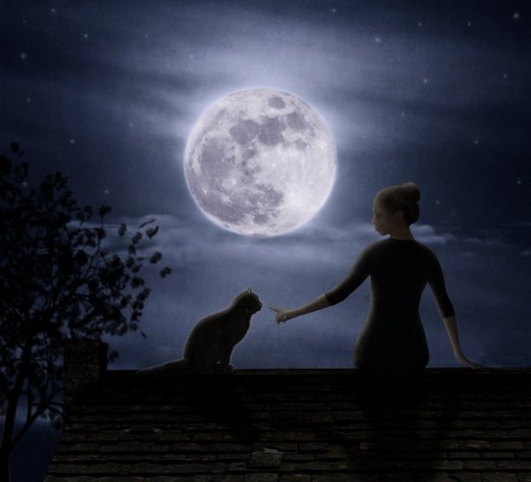 Ночь Луна девушка