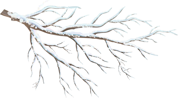 Ветки в снегу на прозрачном фоне