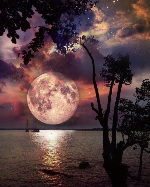 Лунная ночь